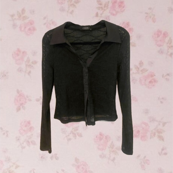 SOLD Cider long sleeve sheer top - Picture 1 of 4